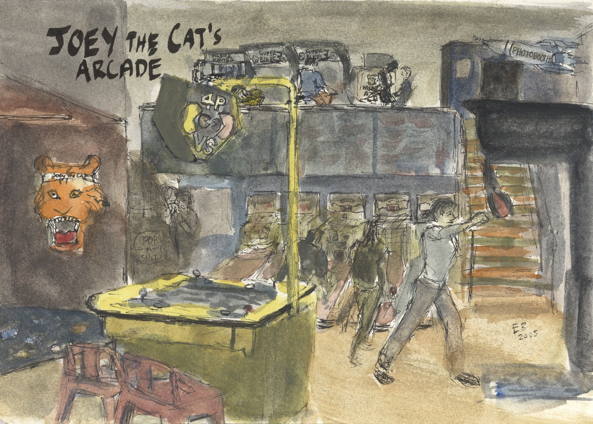 Joey the Cat's Arcade
